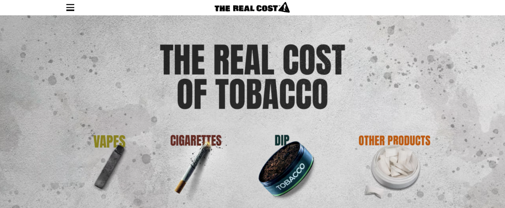 The Real Cost website screenshot